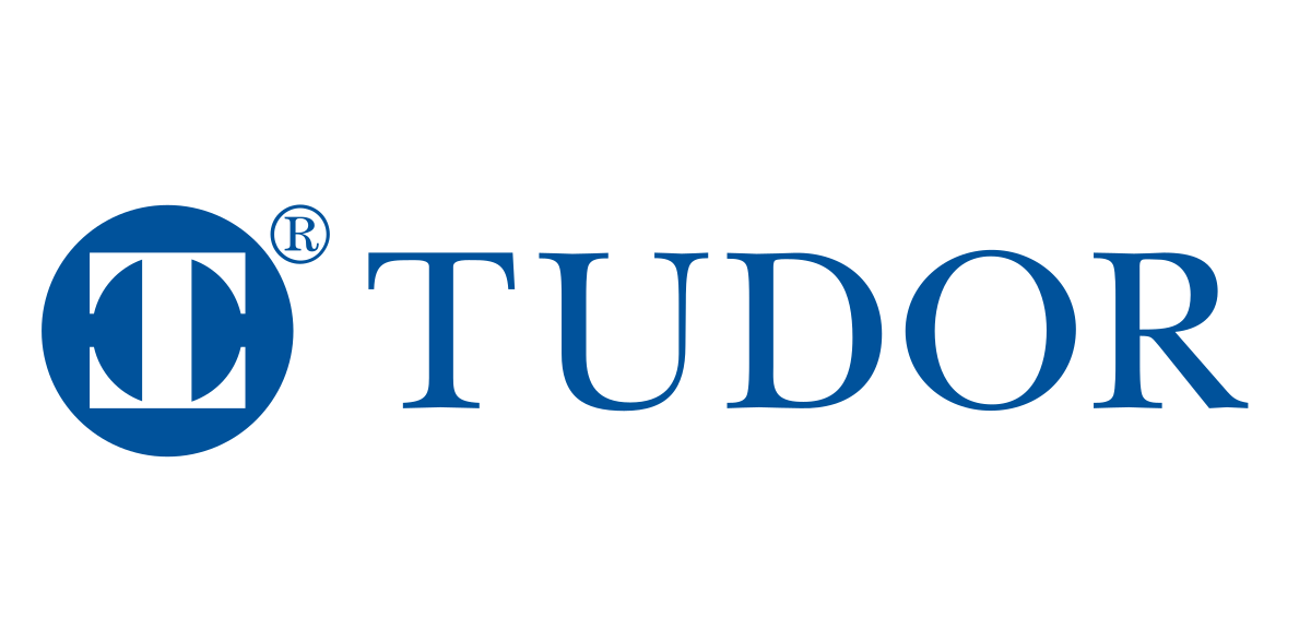 Tudor_Investment_Corporation-svg